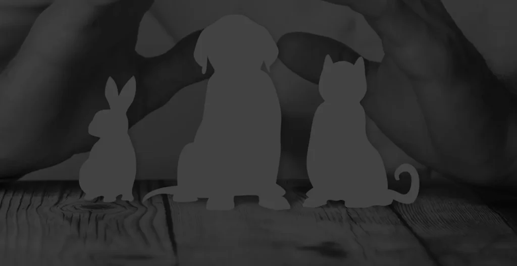 ASSURANCE POUR ANIMAUX DE COMPAGNIE