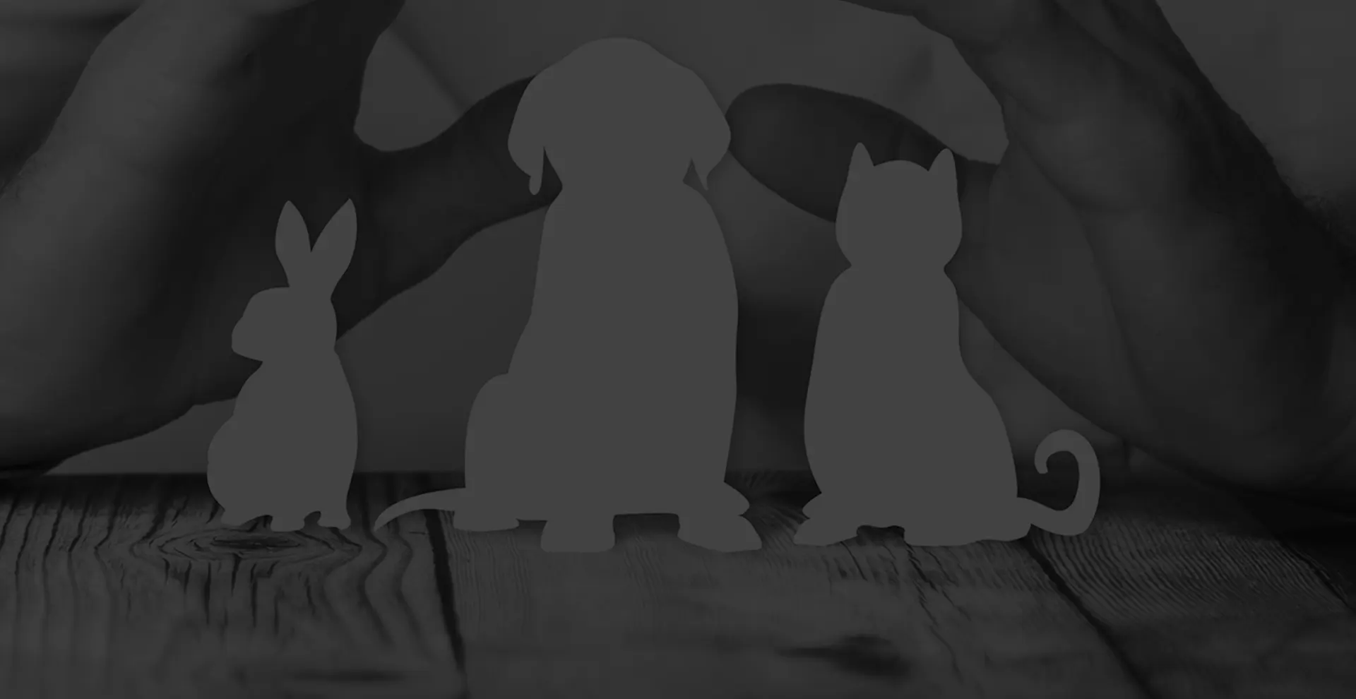 ASSURANCE POUR ANIMAUX DE COMPAGNIE