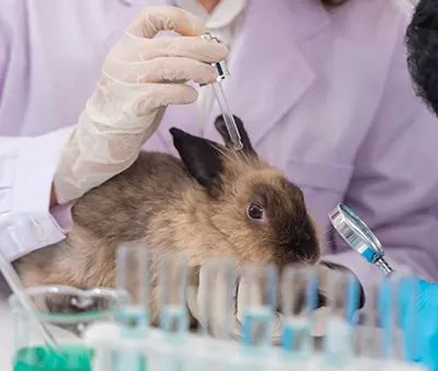 La vermifugation des animaux